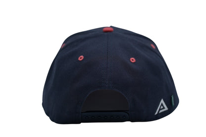 TEAM USA Hat - Parkerbuilt HQ